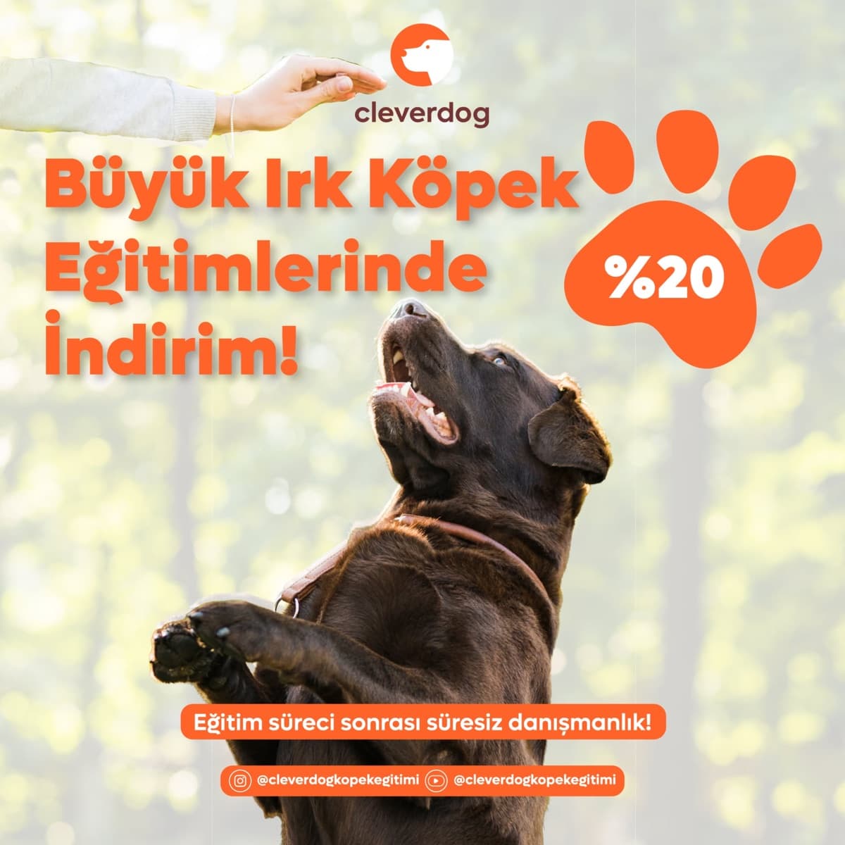 Clever Dog büyük ırk köpek eğitimi reklamı